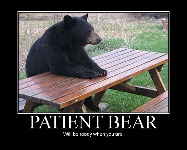 Click to Enlarge

Name: patientbear3lx0.jpg
Size: 86 KB