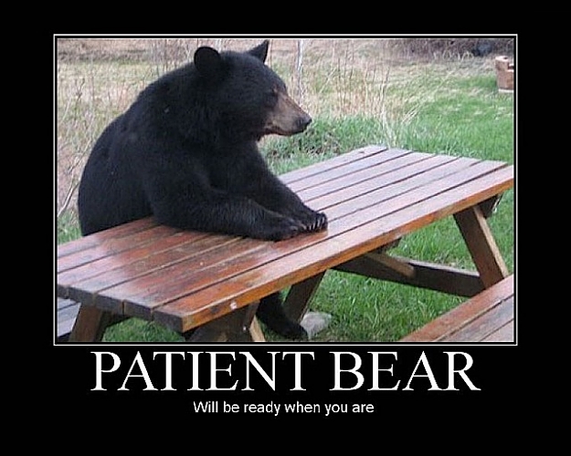 Click to Enlarge

Name: patientbear3lx0.jpg
Size: 86 KB