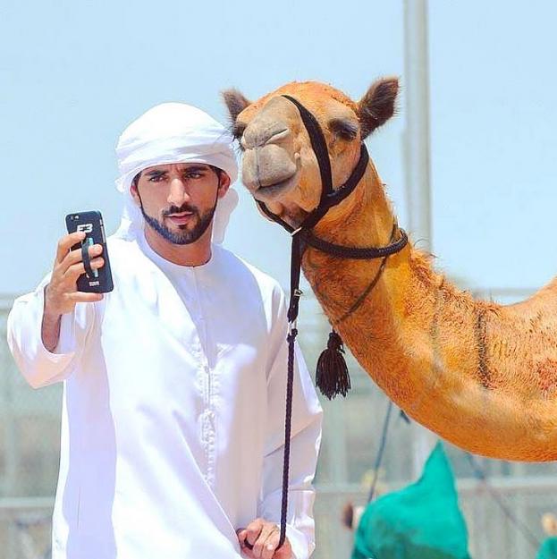 Click to Enlarge

Name: Camel time.jpg
Size: 90 KB
