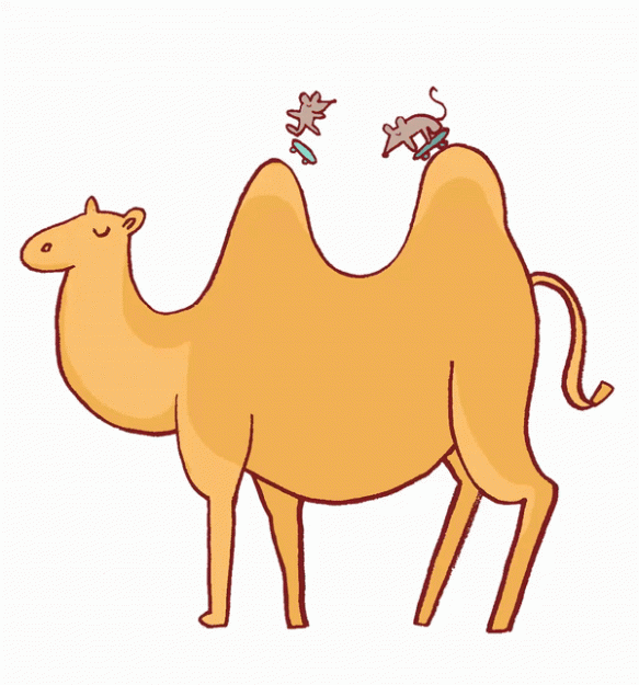 Click to Enlarge

Name: ezgif.com-gif-maker (3).gif
Size: 186 KB