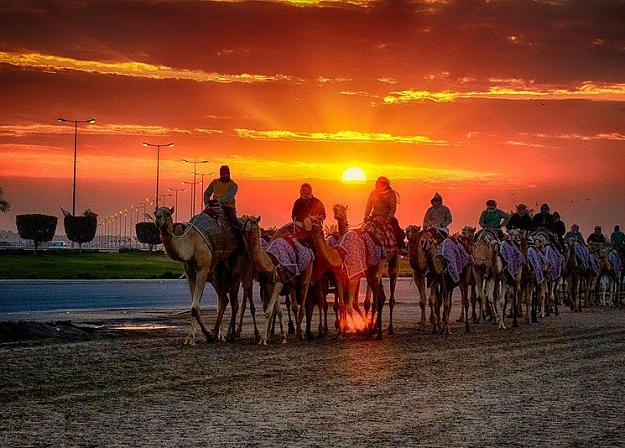 Click to Enlarge

Name: mornig of race.jpg
Size: 122 KB