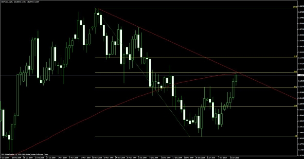 Click to Enlarge

Name: cable day3.jpg
Size: 95 KB