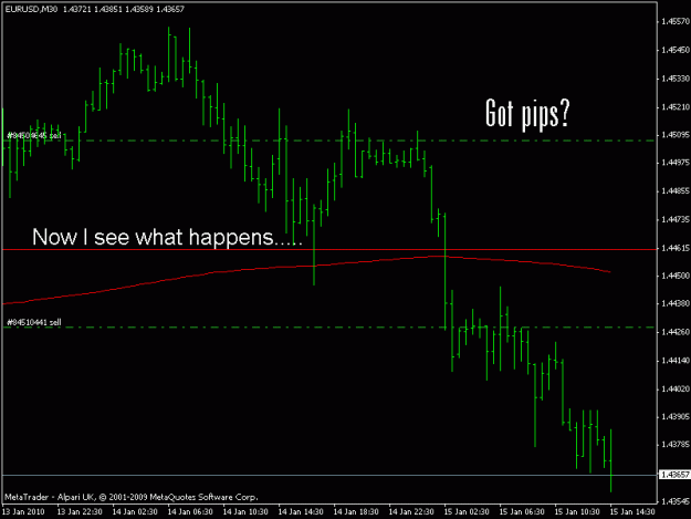 Click to Enlarge

Name: eu 01.15.10.gif
Size: 11 KB