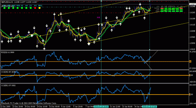 Click to Enlarge

Name: lib-dol 18-01-2010.gif
Size: 23 KB