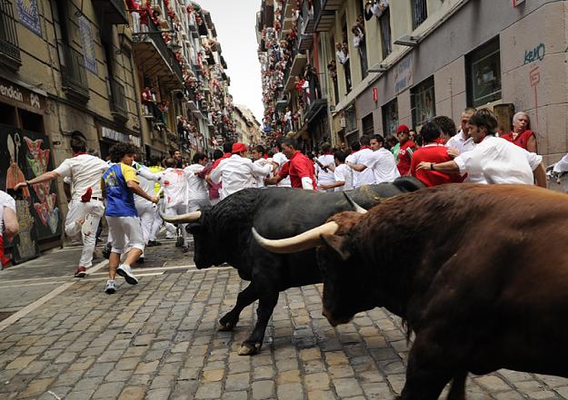 Click to Enlarge

Name: running_with_bulls_2.jpg
Size: 441 KB