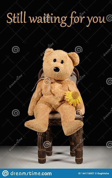 Click to Enlarge

Name: still-waiting-you-miss-teddy-bear-holding-wilted-flower-sitting-chair-black-background-text-mess.jpg
Size: 171 KB