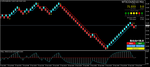 Click to Enlarge

Name: WTICOUSDM10.png
Size: 34 KB