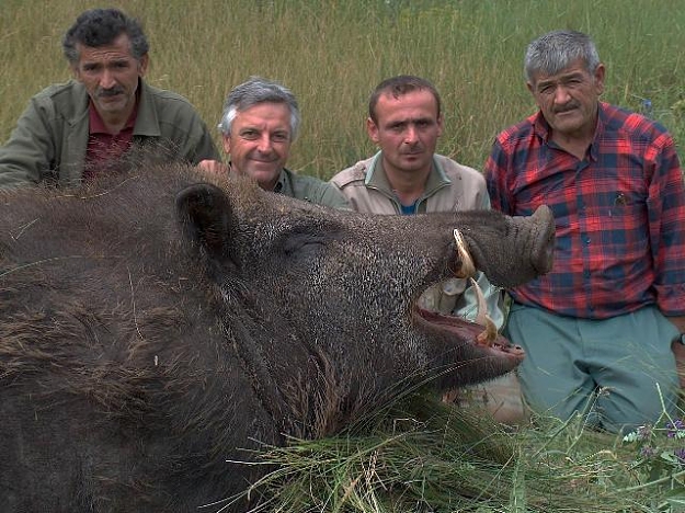 Click to Enlarge

Name: bigpig2.jpg
Size: 71 KB