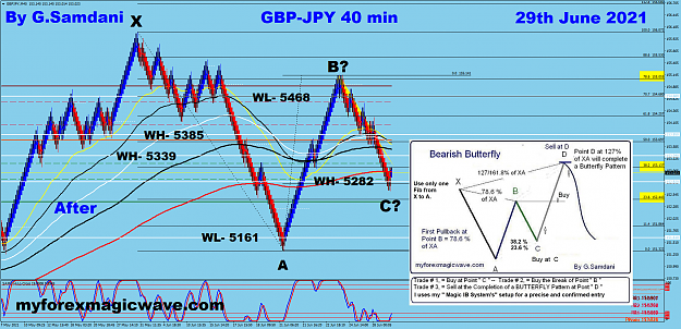 Click to Enlarge

Name: GJ 40 min 06-29-21 After  Butterfly.png
Size: 394 KB