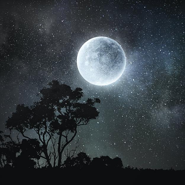 Click to Enlarge

Name: moon.jpg
Size: 216 KB