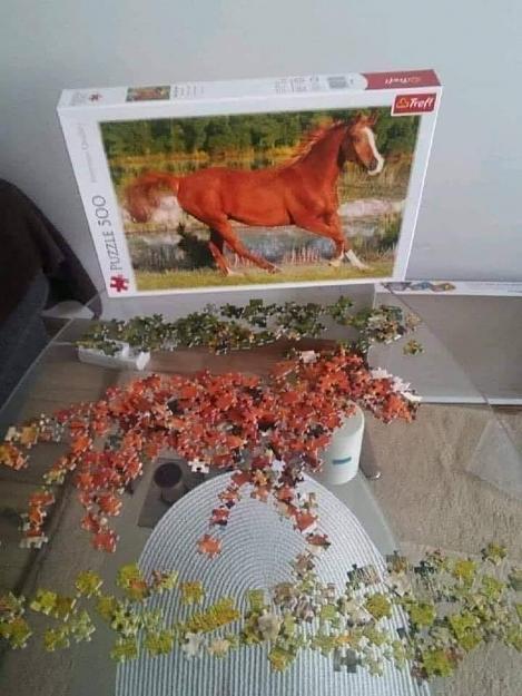 Click to Enlarge

Name: horse.jpg
Size: 71 KB