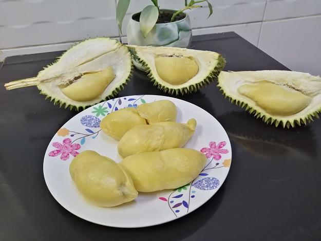 Click to Enlarge

Name: durian 1.jpg
Size: 74 KB