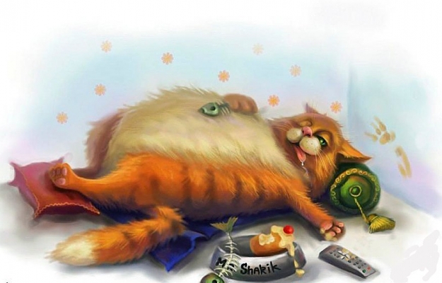 Click to Enlarge

Name: CAT.jpg
Size: 71 KB