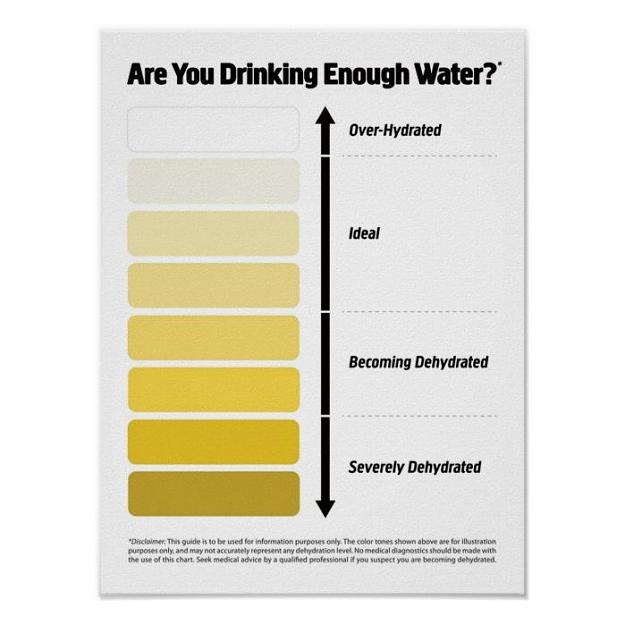 Click to Enlarge

Name: Urine Color Chart, Pee Color Chart Poster.jpg
Size: 42 KB