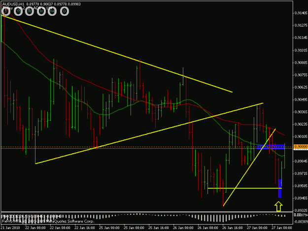 Click to Enlarge

Name: audusd 1h 270110.gif
Size: 18 KB