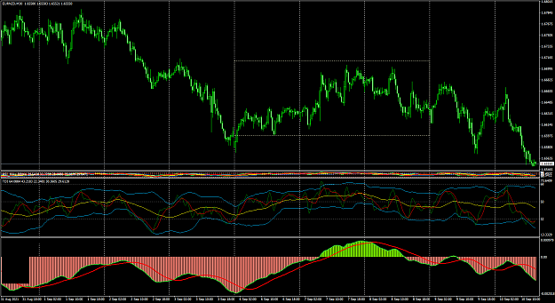Click to Enlarge

Name: EURNZD M30 kette question.png
Size: 56 KB