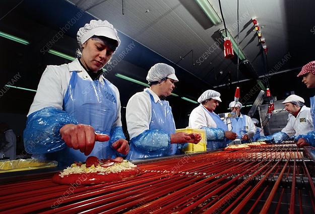 Click to Enlarge

Name: Conveyorbelt worker.jpg
Size: 120 KB