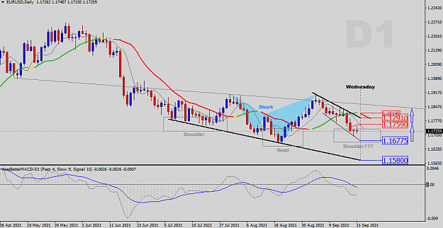 Click to Enlarge

Name: Daily Analysis.png
Size: 32 KB
