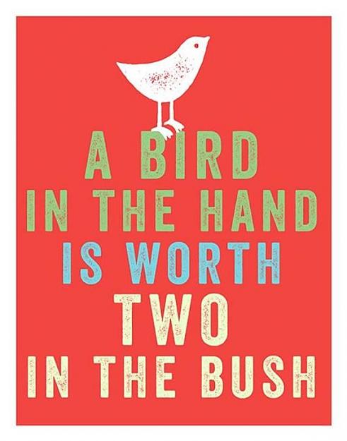 Click to Enlarge

Name: Typography quote letterpress style poster art print A Bird in _ Etsy.jpg
Size: 40 KB