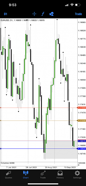 Click to Enlarge

Name: 2A65493C-4082-47FF-BADD-664F0BE3AEC7.png
Size: 636 KB
