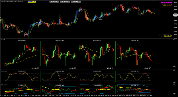 Click to Enlarge

Name: XAUUSD Nov03 H4 pipware 3-11-2021 3-17-05 pm.png
Size: 57 KB