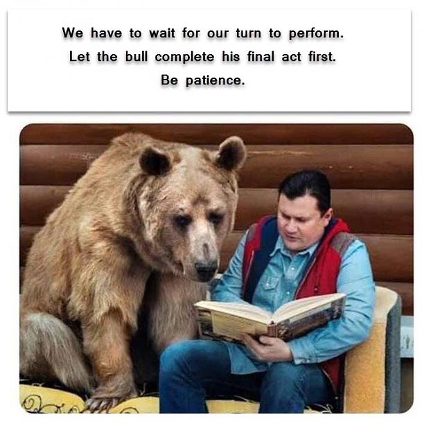 Click to Enlarge

Name: bear story.jpg
Size: 67 KB