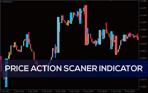 Click to Enlarge

Name: price_action_scaner_pre0.png
Size: 22 KB