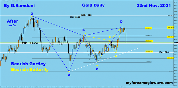 Click to Enlarge

Name: Gold Harmonic Patterns 11-16-21  After.png
Size: 90 KB
