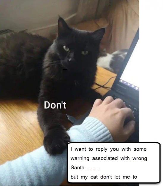 Click to Enlarge

Name: cat reply.jpg
Size: 46 KB