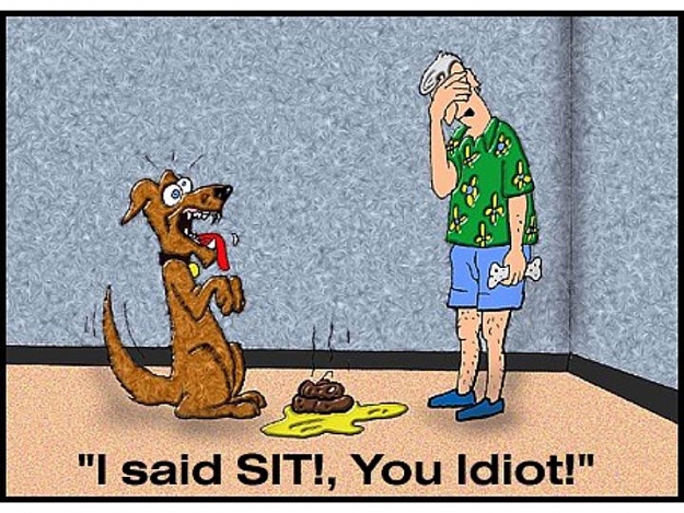 Click to Enlarge

Name: funny_111.jpg
Size: 98 KB