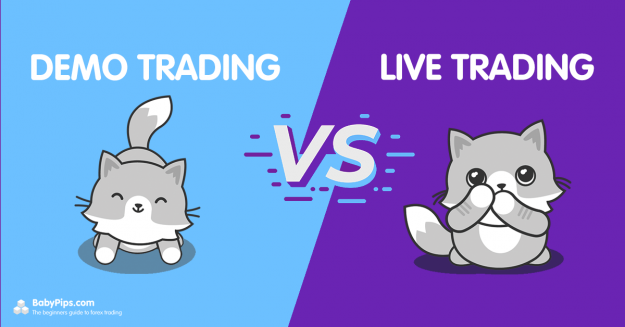 Click to Enlarge

Name: Differences-Between-Demo-and-Live-Trading.png
Size: 184 KB