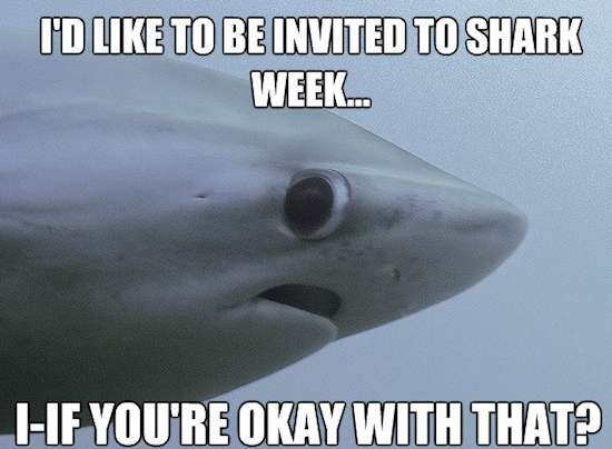 Click to Enlarge

Name: the-best-funny-pictures-of-shy-shark-meme-00.png
Size: 354 KB