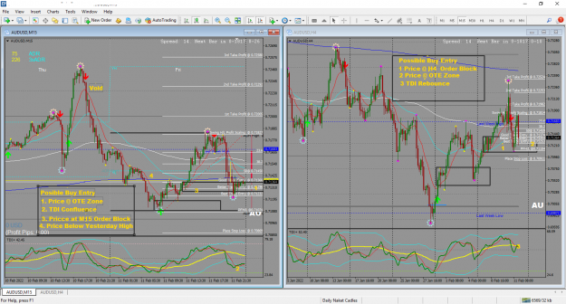 Click to Enlarge

Name: Possible Buy Entry on AU for 14 Feb Analysis.png
Size: 160 KB