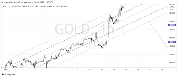 Click to Enlarge

Name: Gold 1hr 15feb2022.png
Size: 174 KB