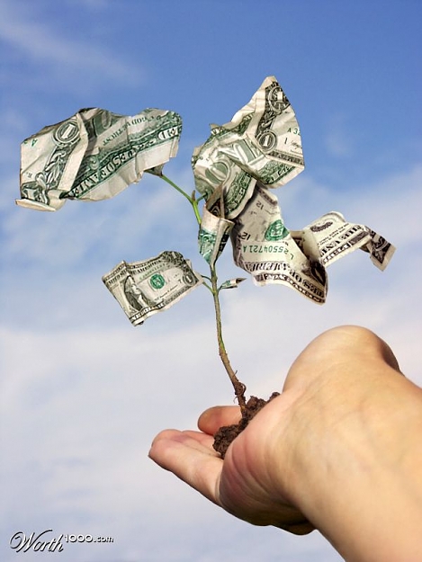 Click to Enlarge

Name: money tree.jpg
Size: 55 KB