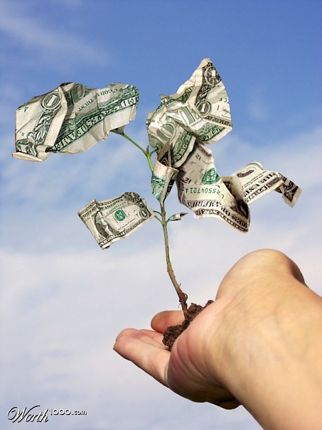 Click to Enlarge

Name: money tree.jpg
Size: 55 KB