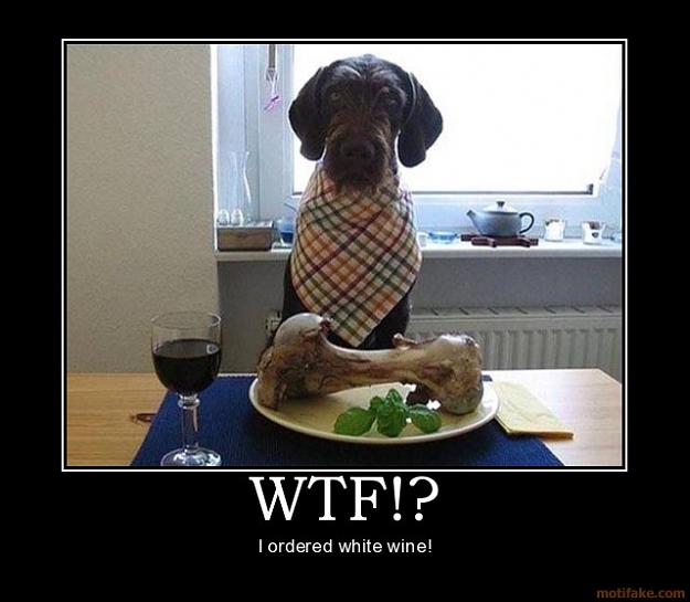 Click to Enlarge

Name: wtf-dogs-animals-funny-wine-dinner-demotivational-poster-1248906673.jpg
Size: 59 KB