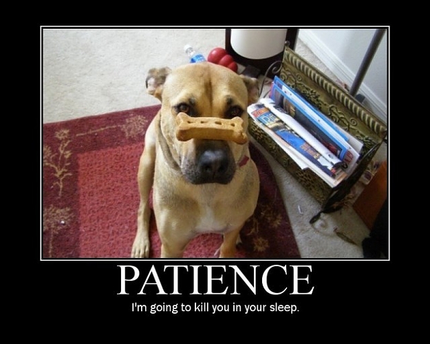 Click to Enlarge

Name: patience_small.jpg
Size: 63 KB