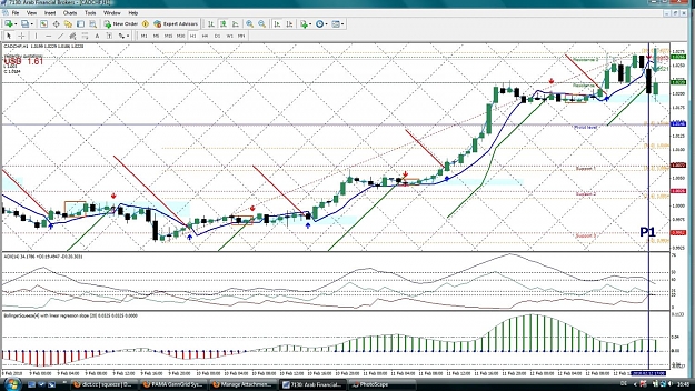 Click to Enlarge

Name: CADCHF, H1, 2010 February 12.jpg
Size: 240 KB