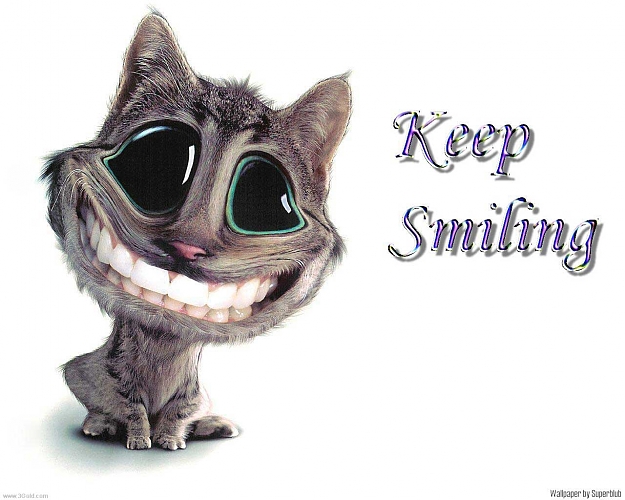 Click to Enlarge

Name: 45.jpg
Size: 121 KB