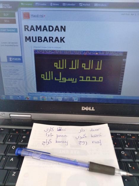Click to Enlarge

Name: arabic.jpg
Size: 1.5 MB