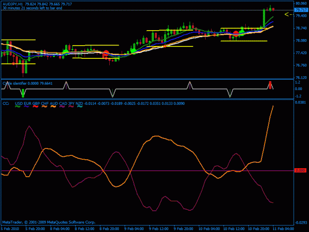Click to Enlarge

Name: audjpy feb 2010.gif
Size: 19 KB