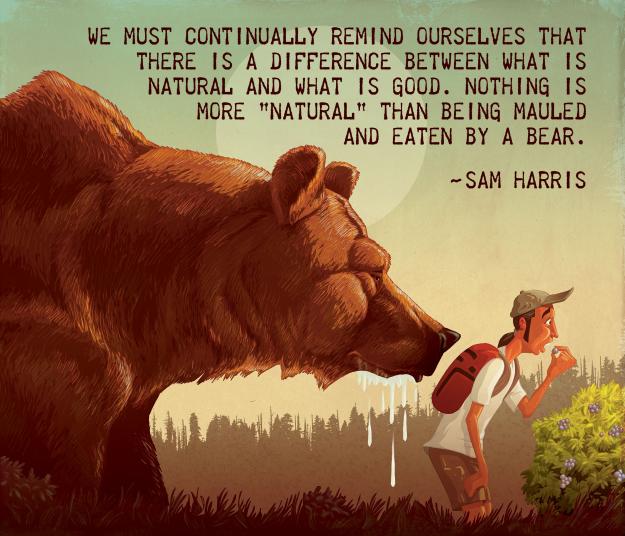 Click to Enlarge

Name: bear.jpg
Size: 1.0 MB