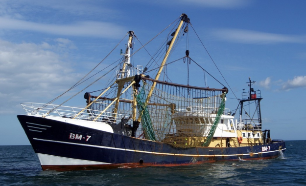 Click to Enlarge

Name: trawling ship.png
Size: 903 KB