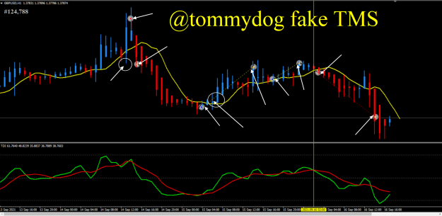 Click to Enlarge

Name: tommydog #124788 fake trades 23-4-2022 8-48-30 pm.png
Size: 228 KB