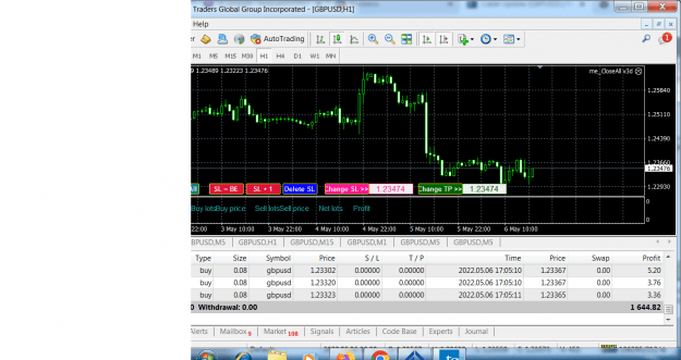 Click to Enlarge

Name: Traders Global MetaTrader 4 Terminal.png
Size: 50 KB