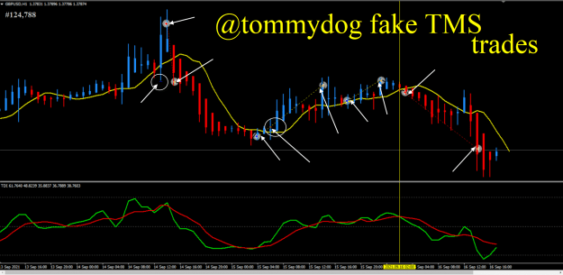Click to Enlarge

Name: tommydog #124788 fake trades 23-4-2022 8-48-30 pm.png
Size: 98 KB