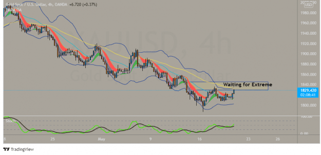 Click to Enlarge

Name: XAUUSD_2022-05-19_13-53-35.png
Size: 28 KB