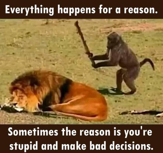 Click to Enlarge

Name: stupid decision.jpg
Size: 73 KB