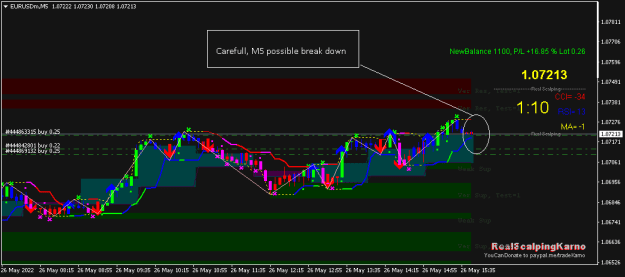 Click to Enlarge

Name: EURUSDmM5.png
Size: 14 KB